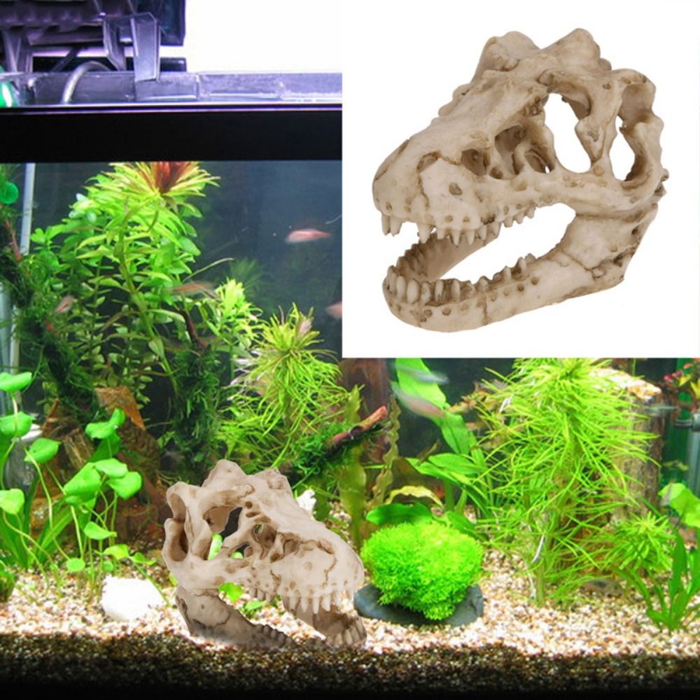 Aquarium Fish Hideout - 크리 에이 티브 시뮬레이션 공룡 두개골