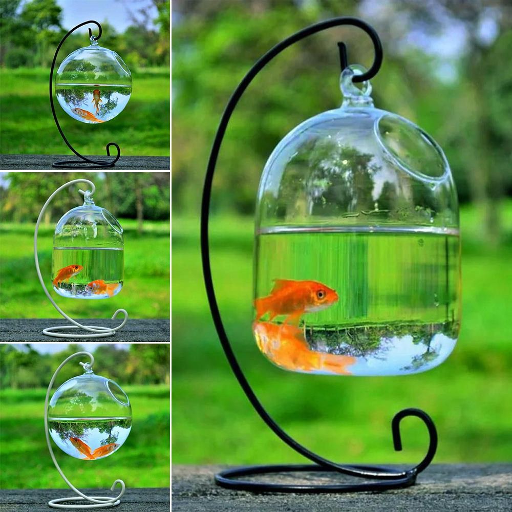 Aquarium Fish Names - 수족관 장식 벽걸이형 랙 홀더가 있는