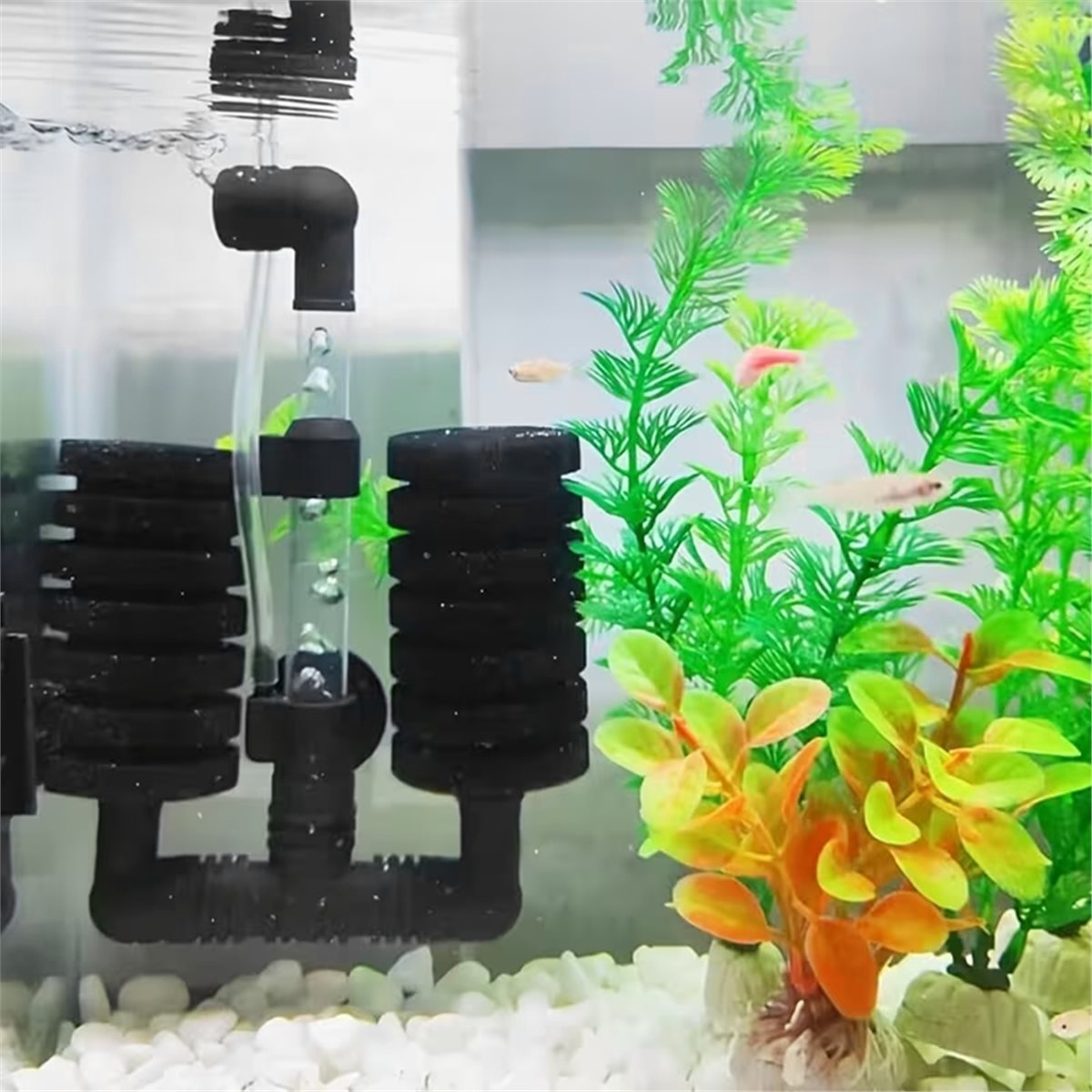 Aquarium Fish List - 【필수품목】 수족관용 필터, 어항용 에어펌프 스키머,