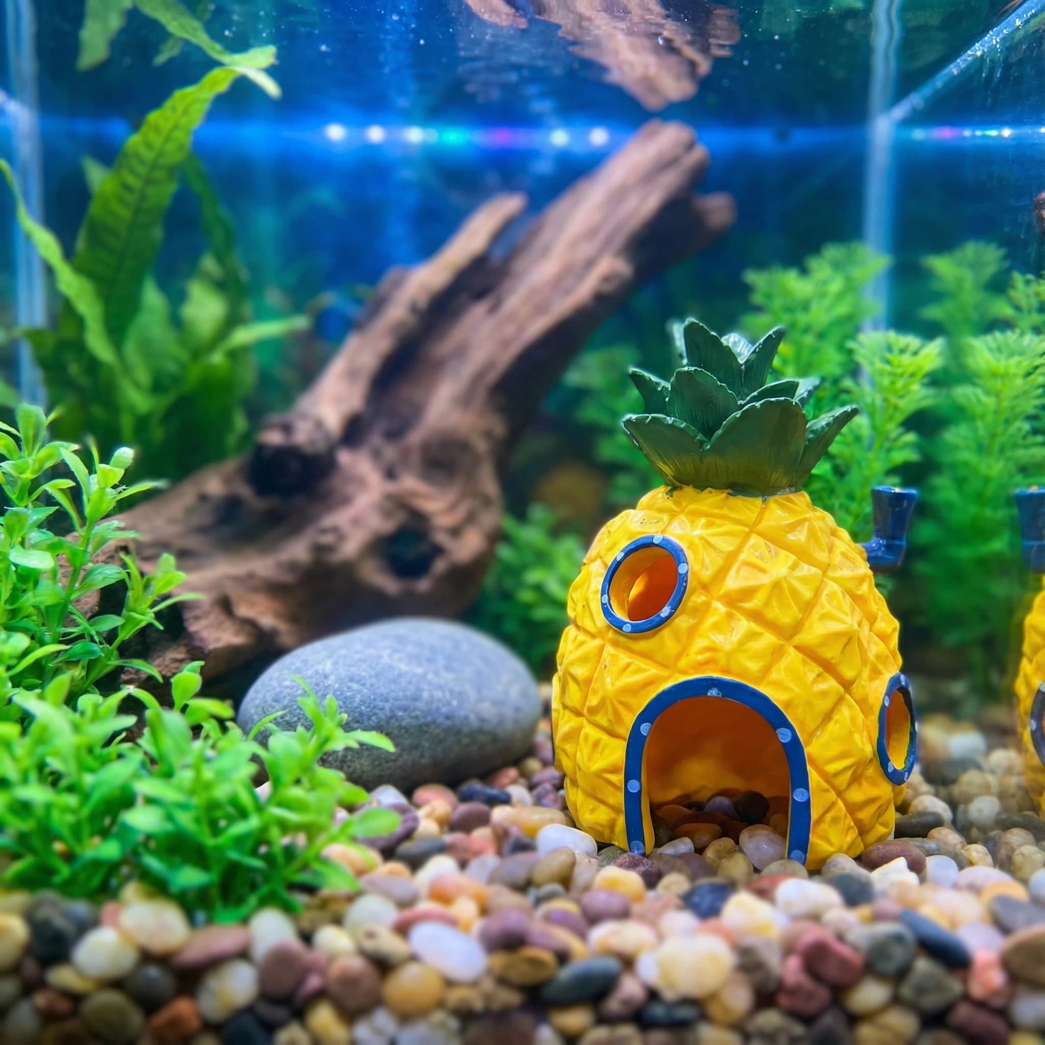 Aquarium Fish Hiding Places - 파인애플 하우스 수족관 장식, 친환경 레진