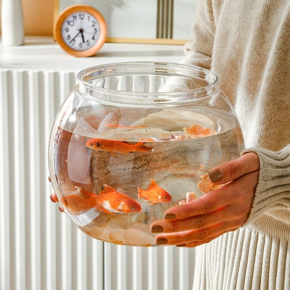 Aquarium Fish Names - 새로운 투명 어항 원형 깨지지 않는