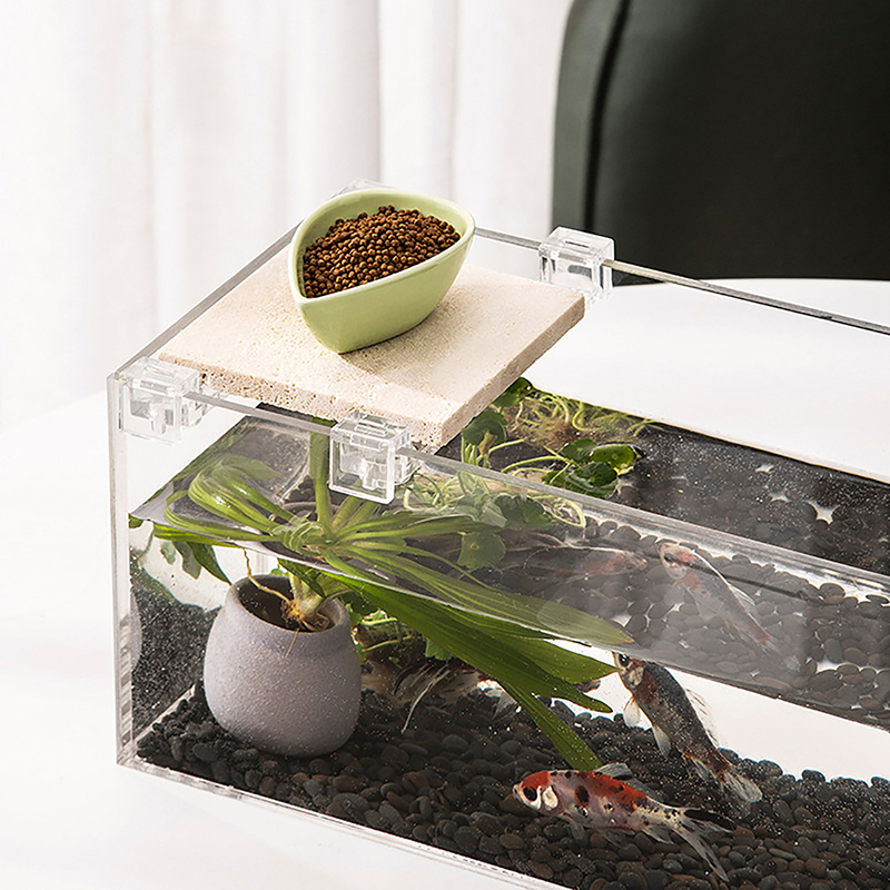 4PCS 아크릴 물고기 탱크 커버 홀더 지우기 클립 홀 - Aquarium Fish Real 리뷰 및 가격