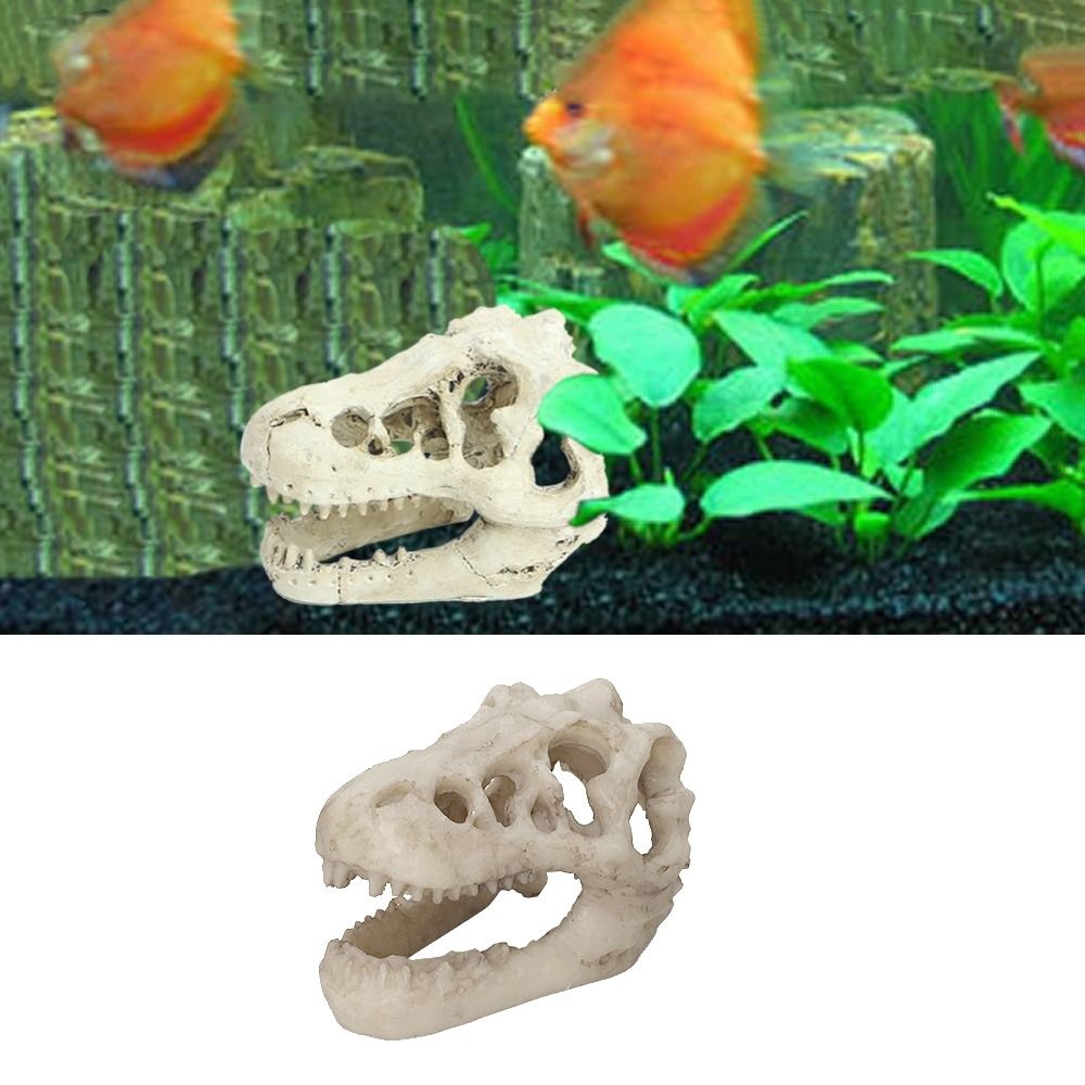 크리 에이 티브 시뮬레이션 공룡 두개골 탈출 집 수족관 - Aquarium Fish Hideout 리뷰 및 가격