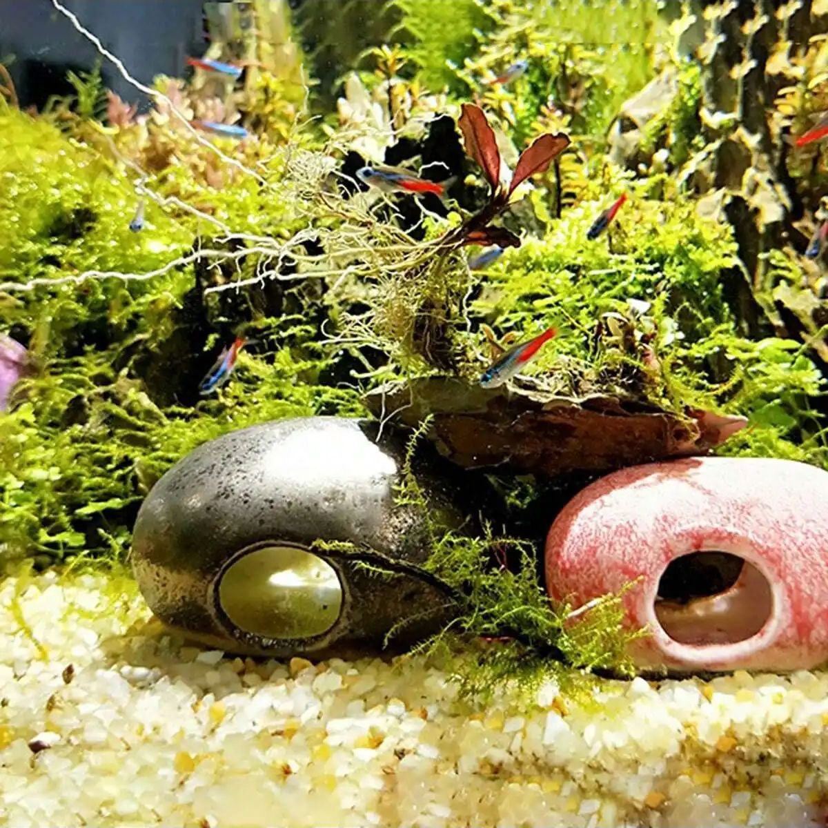1pc-250g 천연 크리스탈 자갈 돌 마이크로 조경  - Aquarium Fish Tank Price 리뷰 및 가격