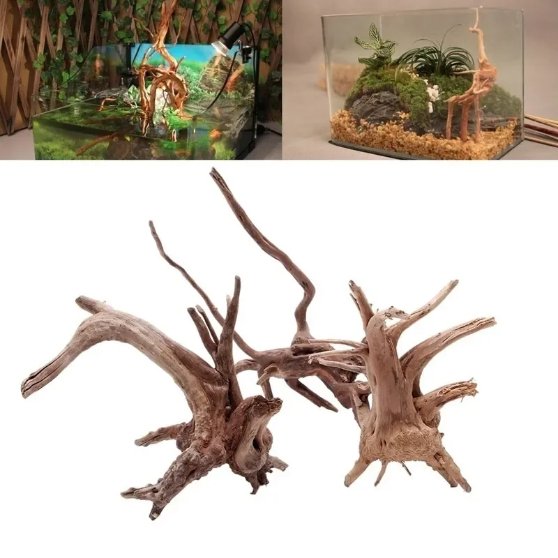 천연 나무 줄기 유목 수족관 어항, 파충류 실린더 뿌리 - Aquarium Fish Hiding Places 리뷰 및 가격