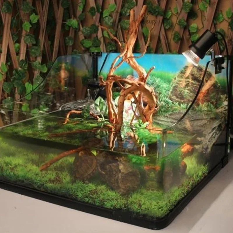 천연 나무 줄기 유목 수족관 어항, 파충류 실린더 뿌리 - Aquarium Fish Hiding Places 리뷰 및 가격