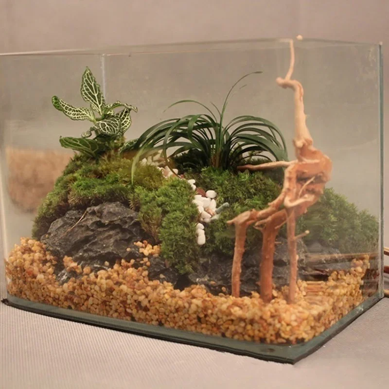 천연 나무 줄기 유목 수족관 어항, 파충류 실린더 뿌리 - Aquarium Fish Hiding Places 리뷰 및 가격