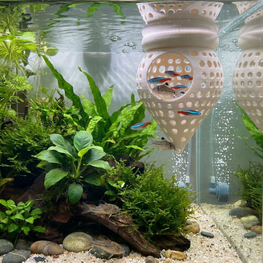 3D 프린팅된 물고기 해먹 은신처, 속이 빈 수족관 휴 - Aquarium Fish Hiding Places 리뷰 및 가격
