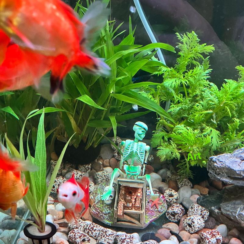 어항 에어로빅 랜드스케이프 버블 에어 펌프 재미있는 어 - Aquarium Fish Tank Price 리뷰 및 가격