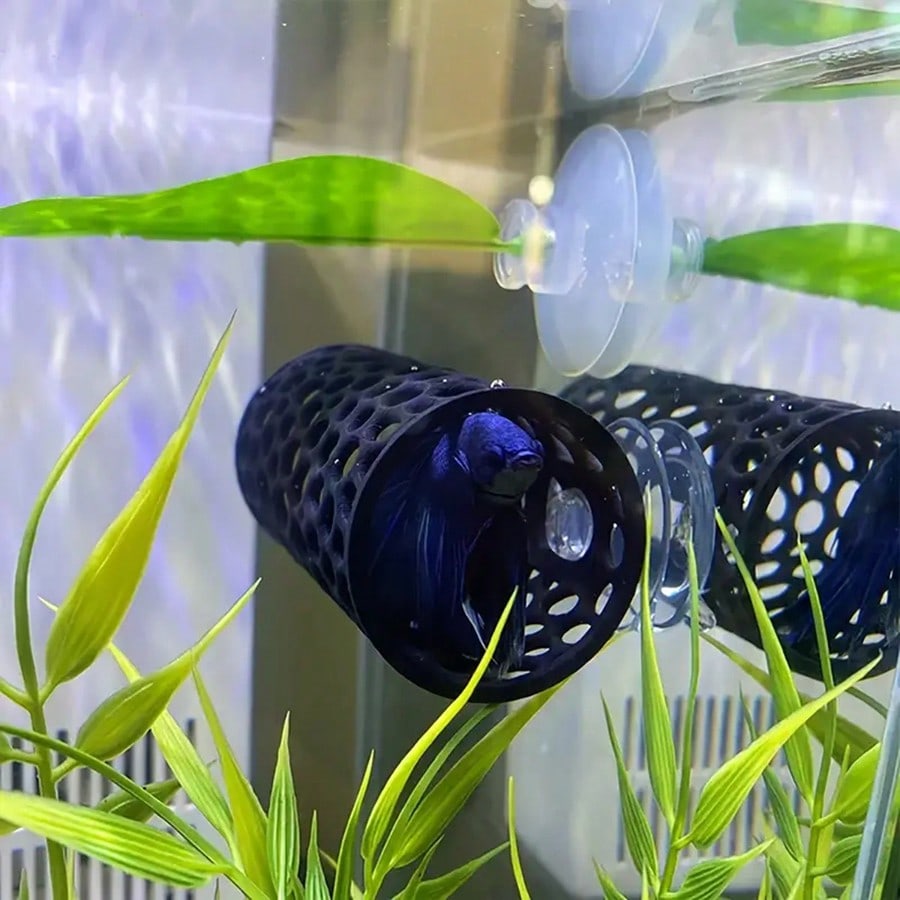 베타 물고기 은신처 속이 빈 튜브 장식품, 흡착판이 있 - Aquarium Fish Hiding Places 리뷰 및 가격