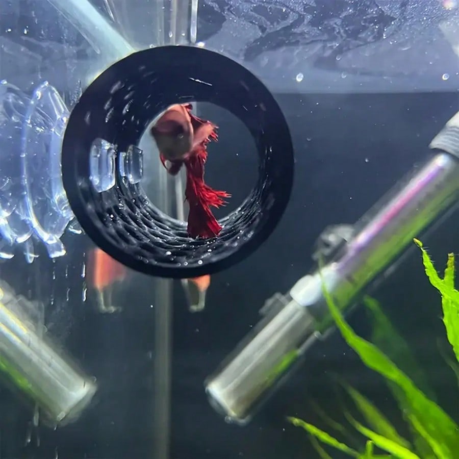 베타 물고기 은신처 속이 빈 튜브 장식품, 흡착판이 있 - Aquarium Fish Hiding Places 리뷰 및 가격
