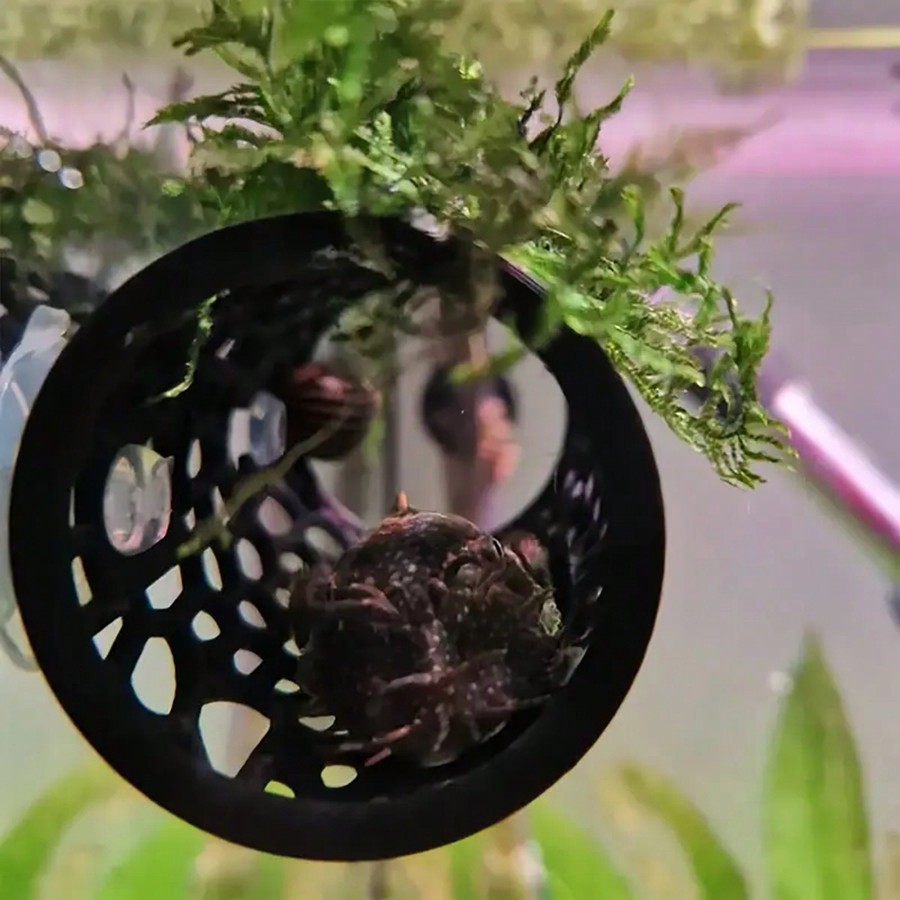 베타 물고기 은신처 속이 빈 튜브 장식품, 흡착판이 있 - Aquarium Fish Hiding Places 리뷰 및 가격