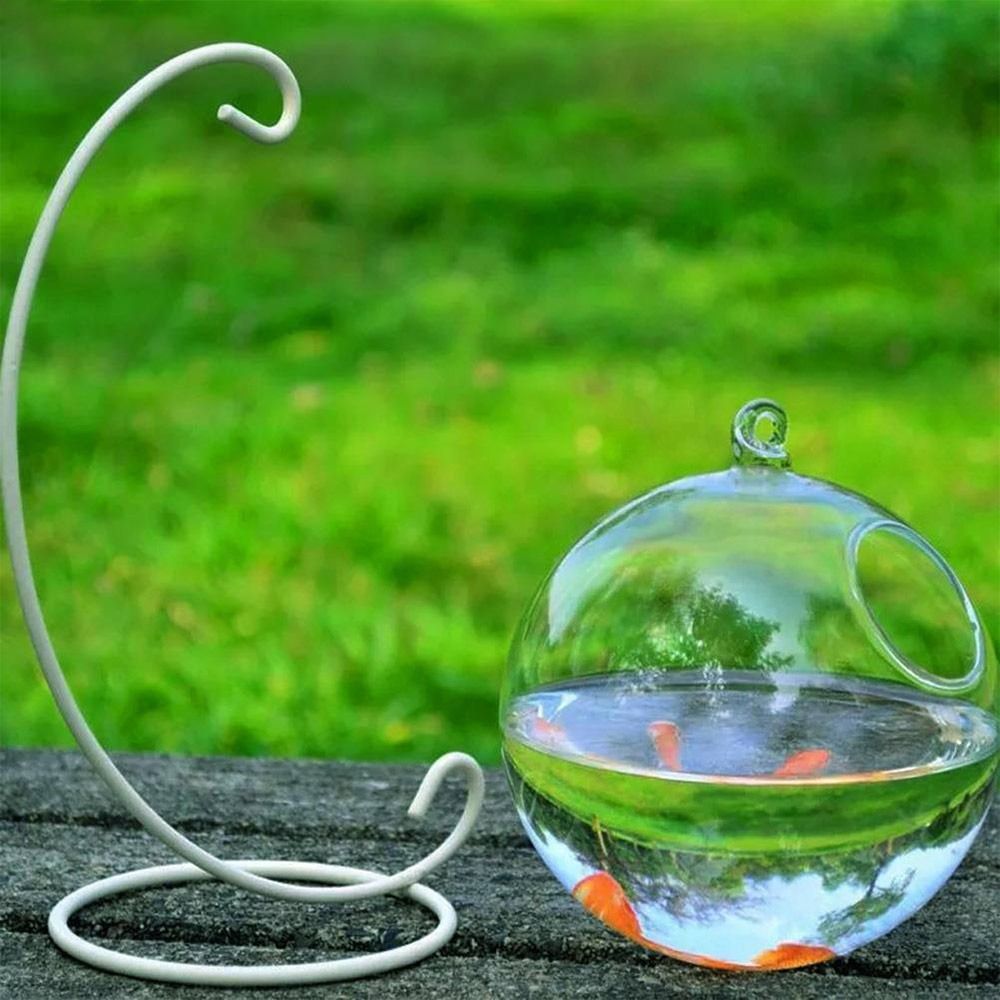 수족관 장식 벽걸이형 랙 홀더가 있는 홈데코 어항 물고 - Aquarium Fish Names 리뷰 및 가격