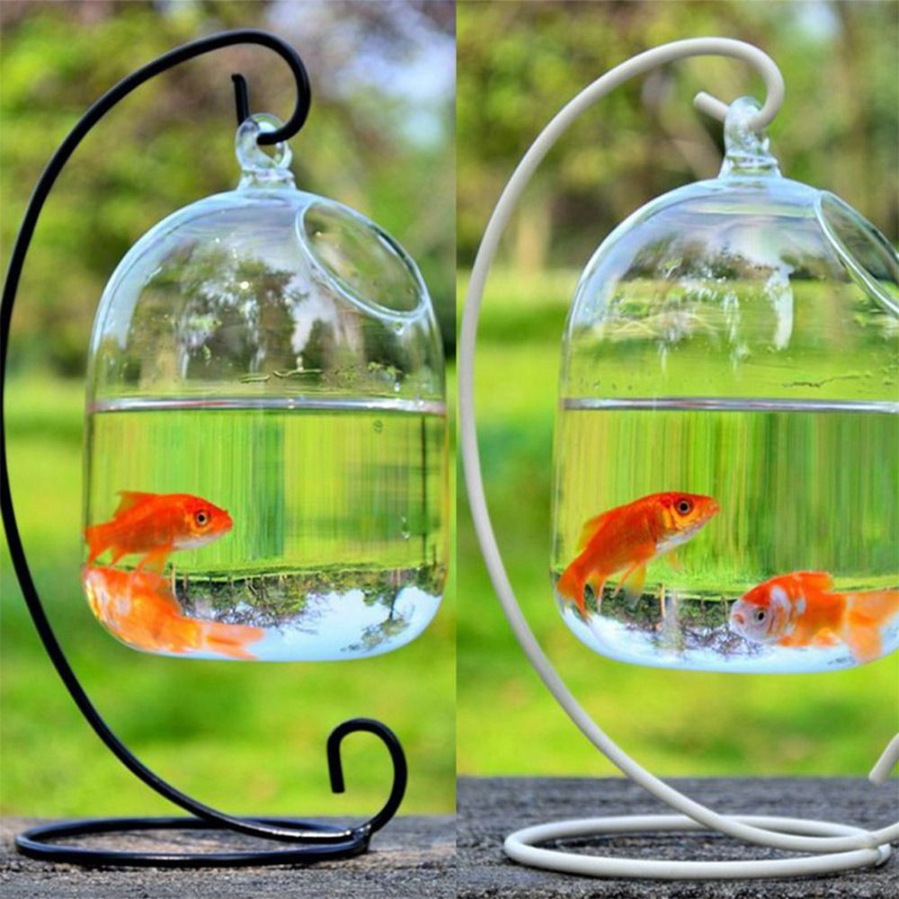 수족관 장식 벽걸이형 랙 홀더가 있는 홈데코 어항 물고 - Aquarium Fish Names 리뷰 및 가격