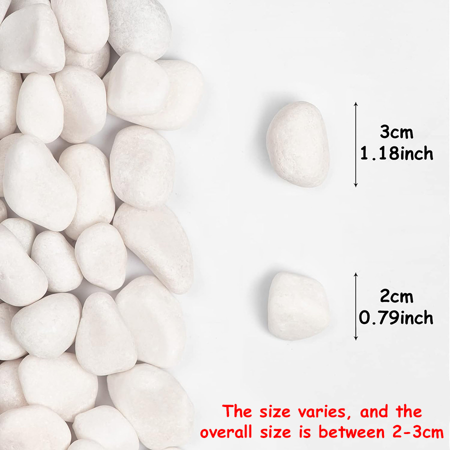 200/400g 흰색 고광택 천연 자갈 2-3cm 마당 - Aquarium Fish Types 리뷰 및 가격