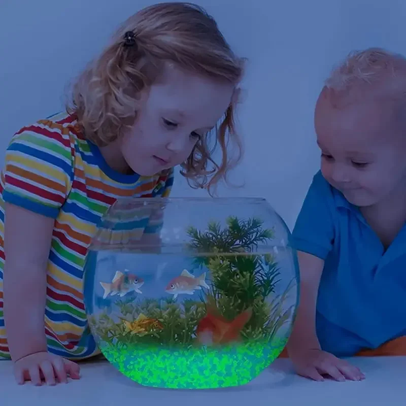 1000pcs 어두운 자갈 돌에 3-5mm 빛나는 모래 - Aquarium Fish Real 리뷰 및 가격