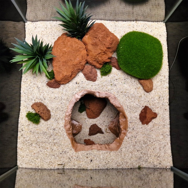 싱크홀 동굴 수족관 장식품 - 파충류 양서류 테라리움을 - Aquarium Fish Hideout 리뷰 및 가격