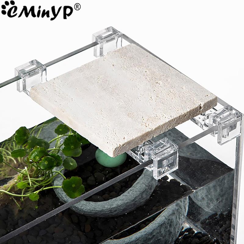 5.5mm ~ 15mm 벽 두께에 대 한 4Pcs 물고 - Aquarium Fish Real 리뷰 및 가격