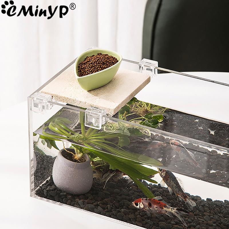 5.5mm ~ 15mm 벽 두께에 대 한 4Pcs 물고 - Aquarium Fish Real 리뷰 및 가격