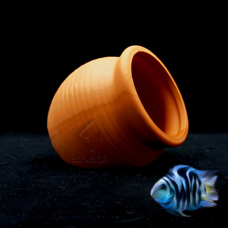 수족관 미니 세라믹 탱크 물고기 새우 집 둥지 산란 번 - Aquarium Fish Hiding Places 리뷰 및 가격