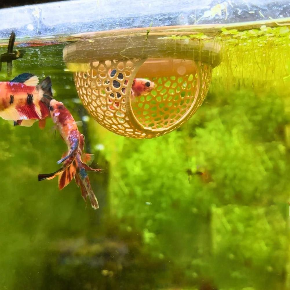 수족관 플로팅 케이브 물고기 새우 은신처 쉼터 3-in - Aquarium Fish Hiding Places 리뷰 및 가격