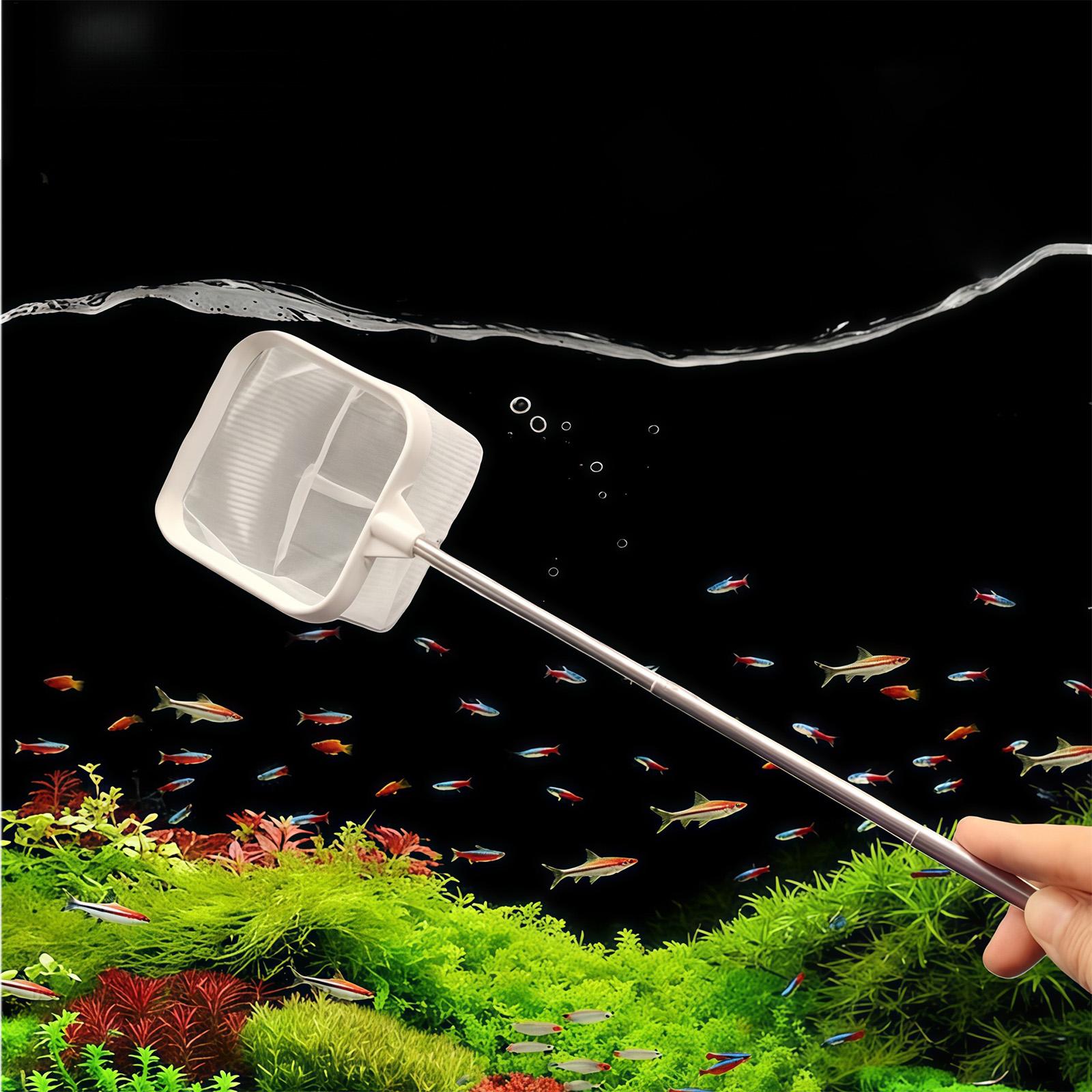 확장형 긴 손잡이 미세망 그물망 수족관 물고기 스키머  - Aquarium Fish Long 리뷰 및 가격