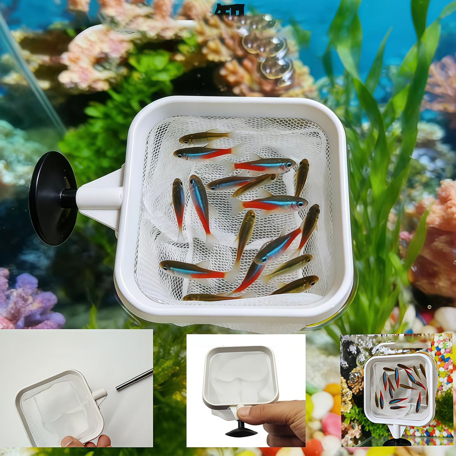 확장형 긴 손잡이 미세망 그물망 수족관 물고기 스키머  - Aquarium Fish Long 리뷰 및 가격