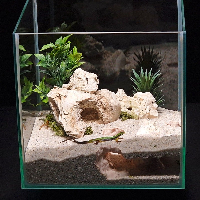 3D 프린팅 어항 터널 쉼터 수족관 장식 소형 물고기, - Aquarium Fish Hiding Places 리뷰 및 가격