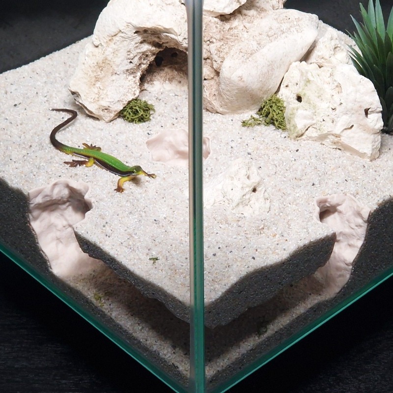 3D 프린팅 어항 터널 쉼터 수족관 장식 소형 물고기, - Aquarium Fish Hiding Places 리뷰 및 가격