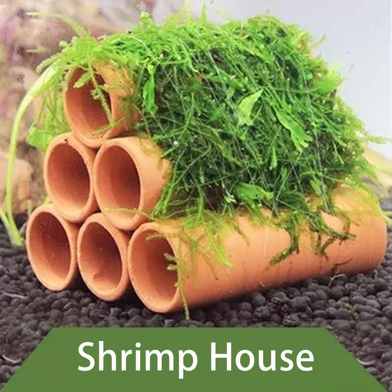 점토 수족관 장식 물고기 새우 놀이 숨어있는 동굴 대피 - Aquarium Fish Hiding Places 리뷰 및 가격