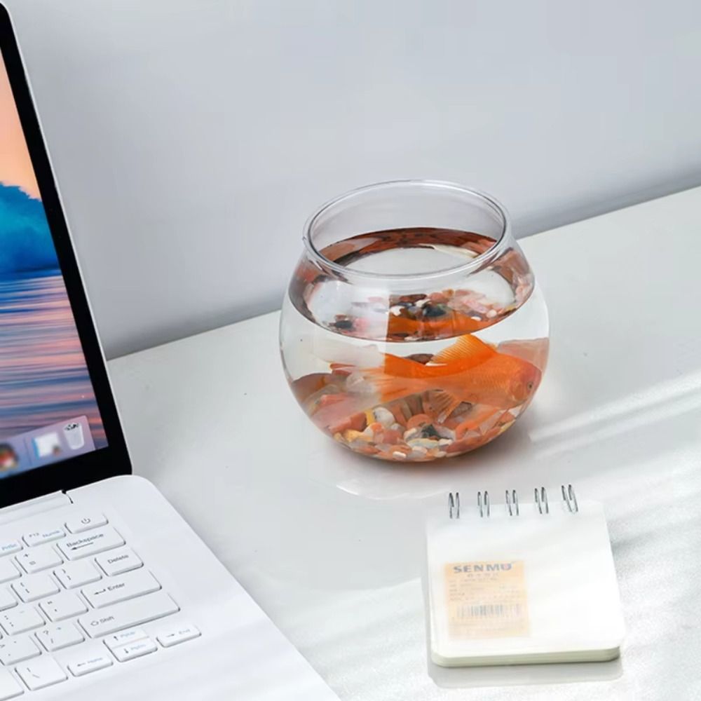 새로운 투명 어항 원형 깨지지 않는 플라스틱 가벼운 소 - Aquarium Fish Names 리뷰 및 가격
