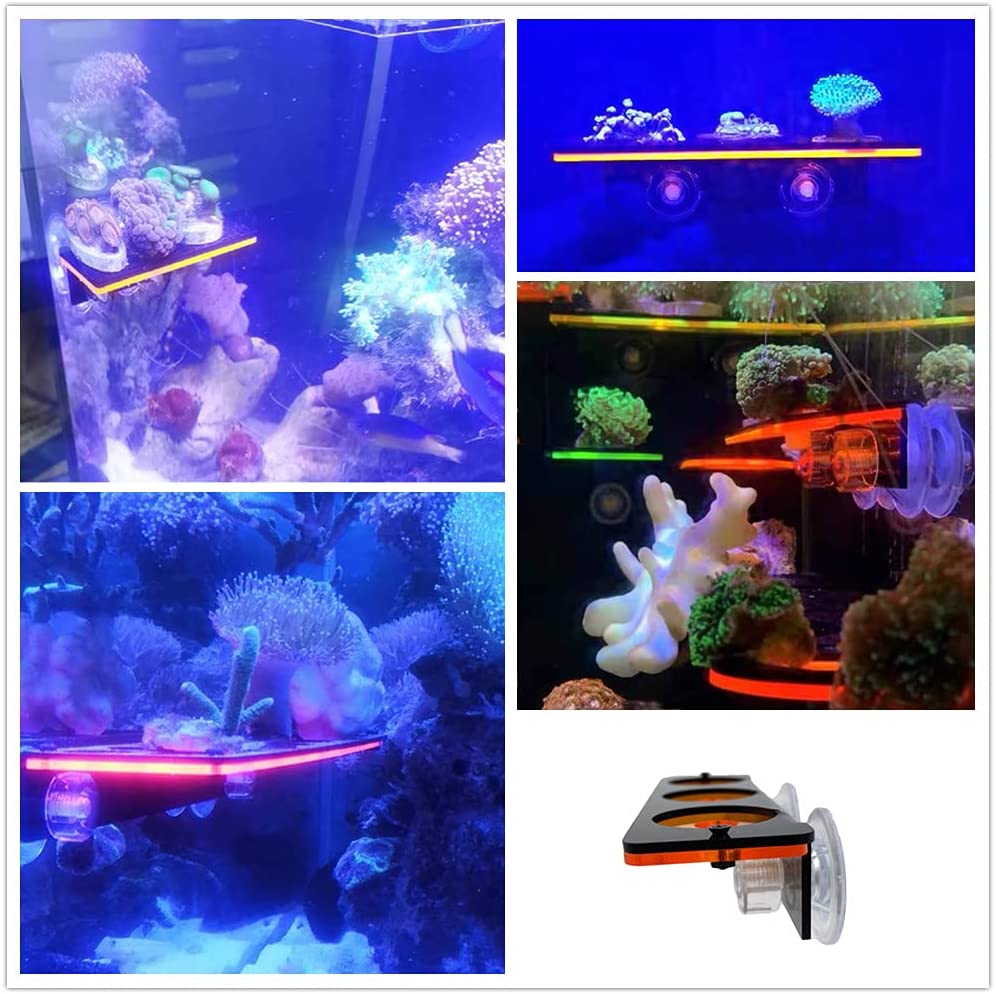 형광 산호 조각 플러그 브래킷 성장 홀더 아크릴 랙 해 - Aquarium Fish Tank Price 리뷰 및 가격