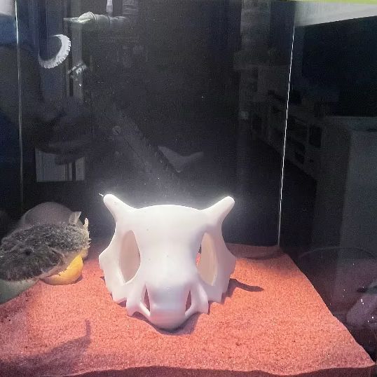 3D 프린트 물고기 새우 파충류 은신처 동굴, 애니메이 - Aquarium Fish Hiding Places 리뷰 및 가격